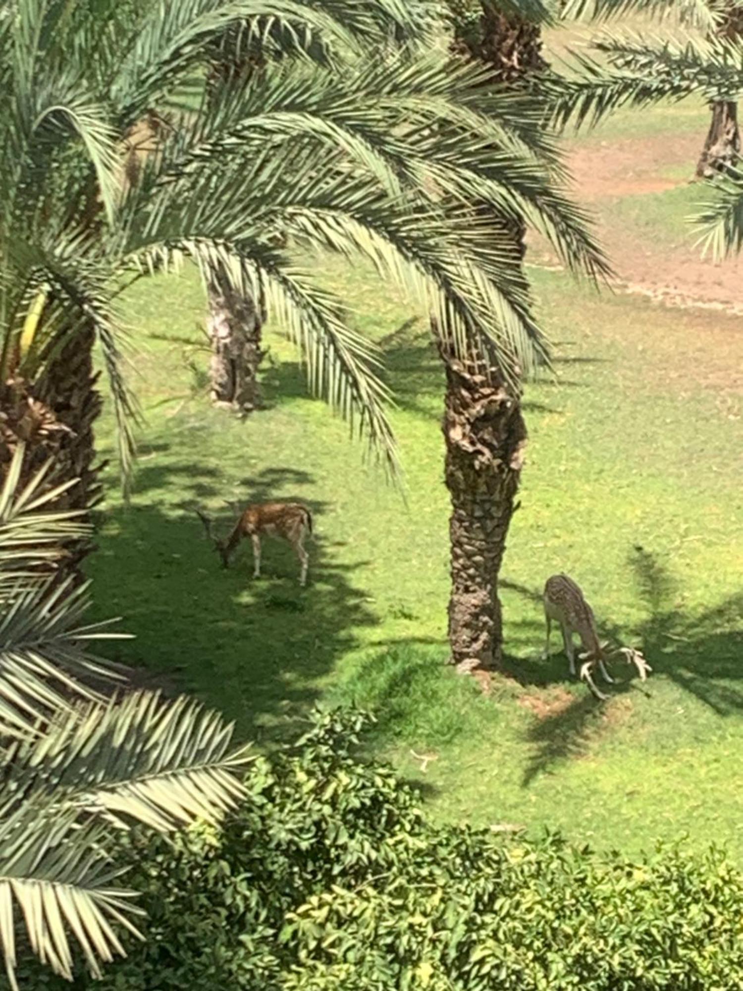 Riad Nolya Luxury Marrakech - Totalement Renove - Capacite Jusqu A 10 Lits Spacieux Marrakesh Esterno foto